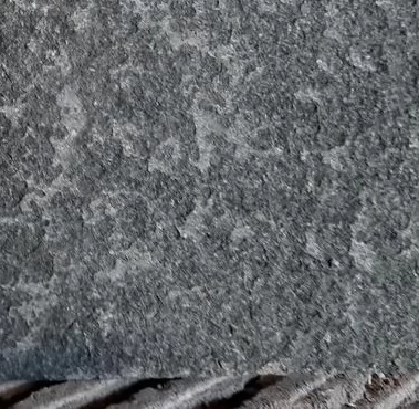 Jasa Basmi Rayap di Ciledug Gratis Belajar 1 Tahun